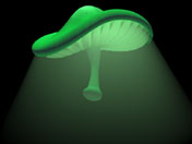 VolumeMagic-Mushroom.jpg (75519 bytes)