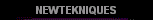  NEWTEKNIQUES 