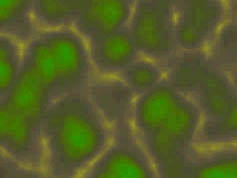 Color Texture Example