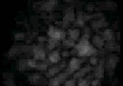 SMOKE IMAGE